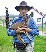 Pomáháme zvířátkům