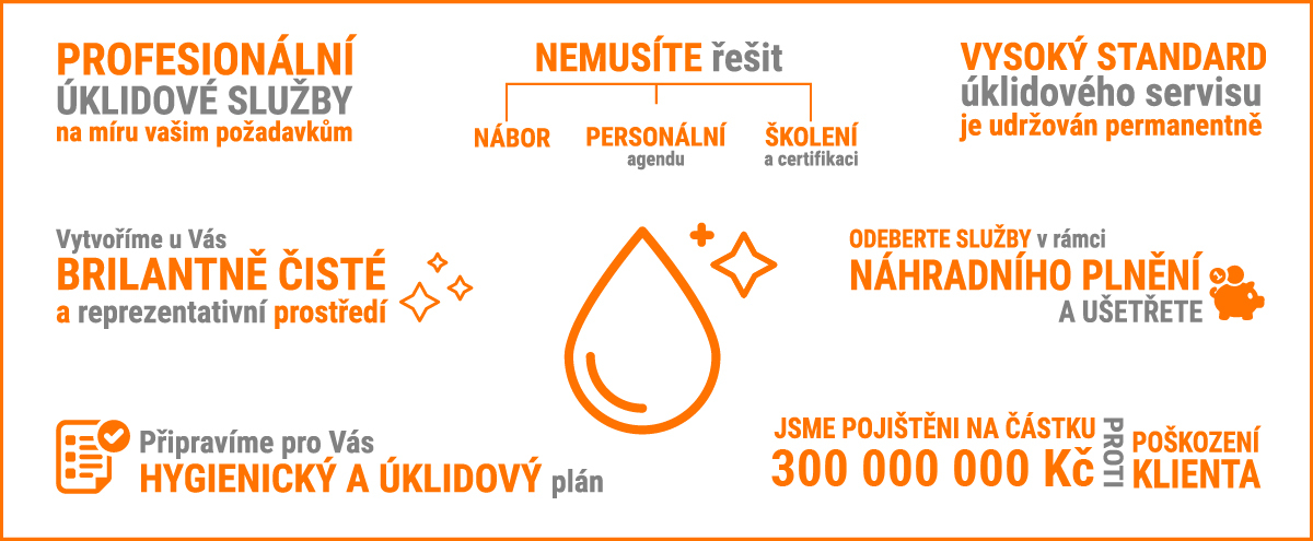 Úklidový servis a služby - náhradní plnění - D.I.SEVEN